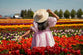 cute pink Easter dress