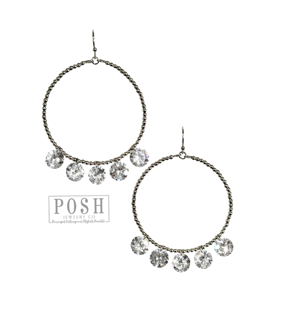POSH Crystal Dangle Earrings in Silver Earrings Pink Panache Brands   