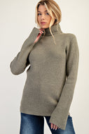 Easel Solid Color Textured Knit Sweater in Sage
