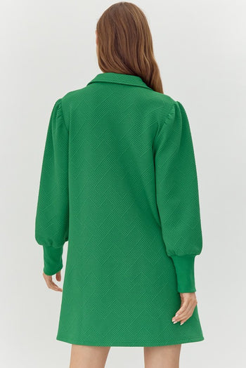 Jodifl Textured Long Sleeve Mini Dress in Kelly Green