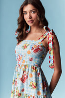 RARERAW Sea Breeze Picnic Print Maxi Dress in Sky Blue