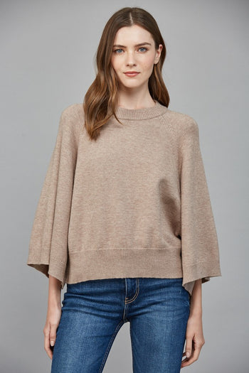 Fate Raglan Sleeve Crew Neck Sweater in Soft Mocha
