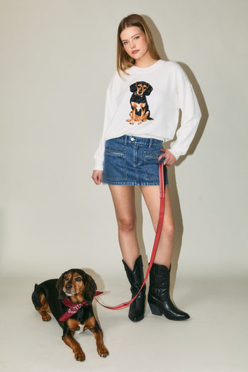 Le Lis Knit Sweater with Beagle Dog Graphic Front in White