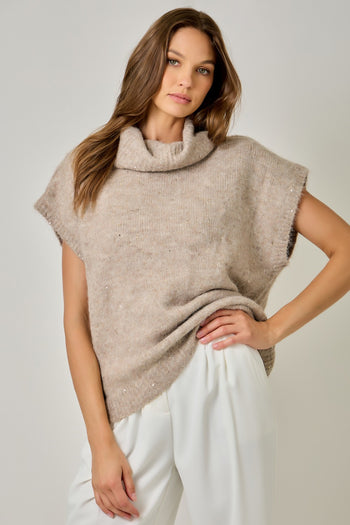 Mystree Sequin Turtleneck Sweater Top in Stone