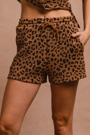 BiBi Leopard Knit Shorts in Camel/Black