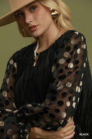 Umgee Velvet Polka Dot Sheer Sleeve Dress in Black