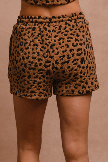 BiBi Leopard Knit Shorts in Camel/Black