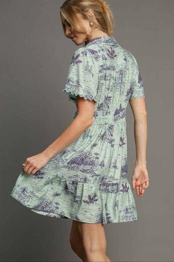 Umgee Landscape Print Mini Dress in Sage Mint XL at June Adel